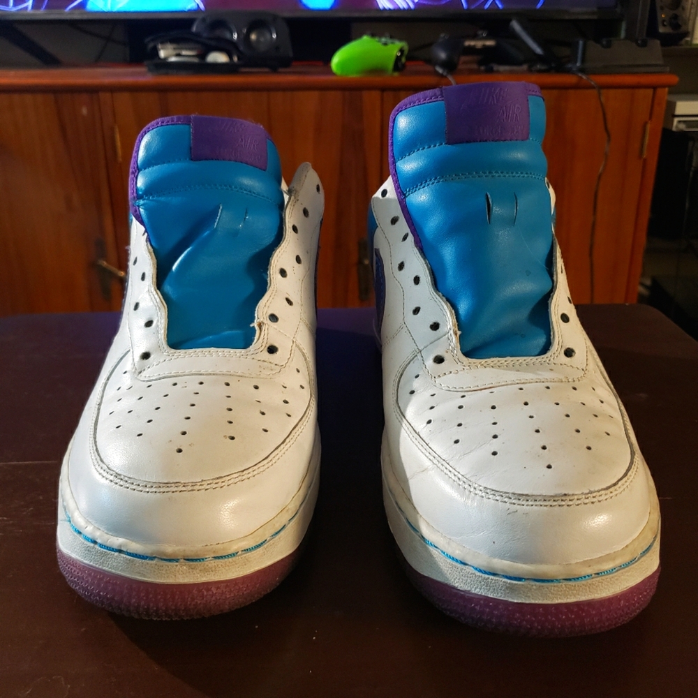 Air Force 1 (Charlotte Hornets)(Low)